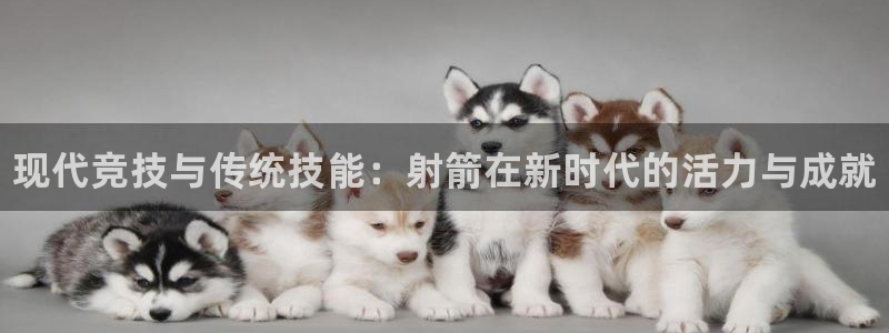 3377体育官网下载招商电话号码是多少：现代竞技与传