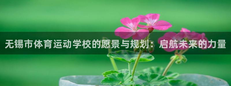 3377体育官网下载平台注册要钱吗安全吗：无锡市体育
