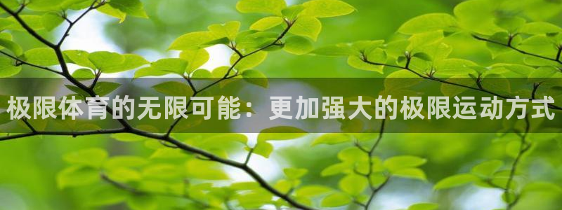 3377体育官网下载招商电话号码：极限体育的无限可能：更加强