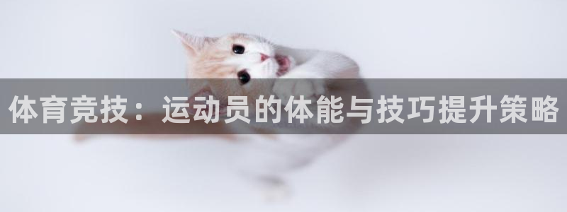 3377体育官网下载平台注册流程视频：体育竞技：运动员的体能