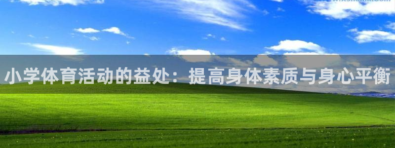 3377体育官方正版app娱乐平台：小学体育活动的益处：提高