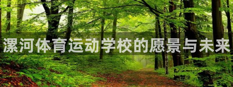 3377体育官方正版app科技：漯河体育运动学校的愿景与未来