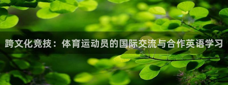 3377体育官方正版app集团E.ON：跨文化竞技：