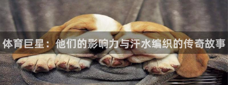 3377体育官网下载招商电话号码查询是多少：体育巨星：他们的