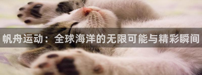 3377体育官网下载平台注册要钱吗：帆舟运动：全球海洋的无限