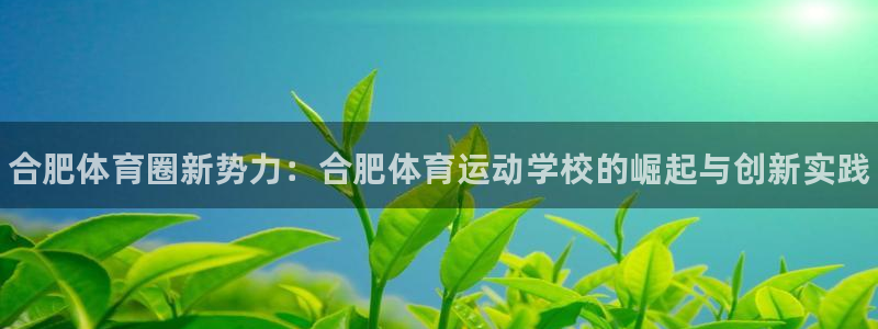 3377体育官网下载招商电话是多少啊：合肥体育圈新势