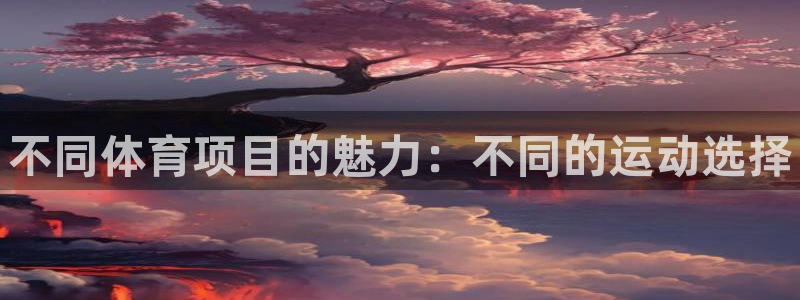 3377体育官网下载平台注册流程视频：不同体育项目的魅力：不