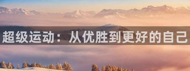 3377体育官方正版app集团logo