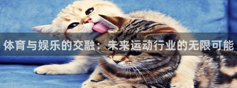 3377体育官网下载招商电话地址：体育与娱乐的交融：