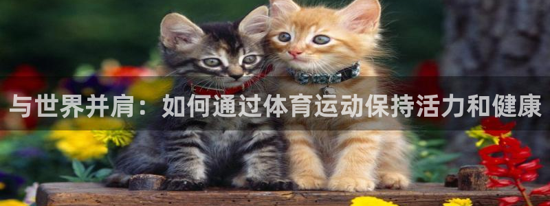 3377体育官方正版app集团E.ON