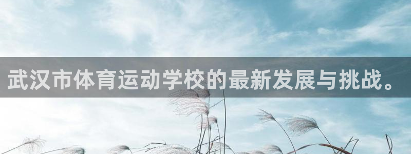3377体育官网下载娱乐：武汉市体育运动学校的最新发