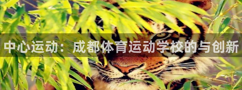 3377体育官方平台体育：中心运动：成都体育运动学校的与创新
