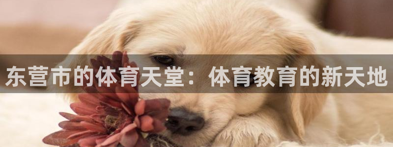 3377体育官方正版app娱乐网站：东营市的体育天堂