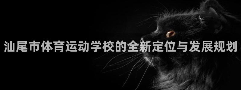 3377体育官方正版app娱乐网站：汕尾市体育运动学校的全新