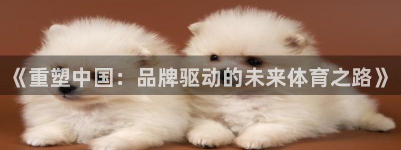 3377体育官网下载平台APP：《重塑中国：品牌驱动