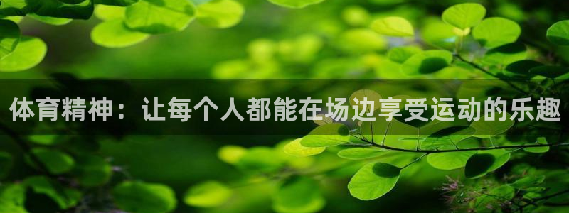 3377体育官网下载平台注册要钱吗安全吗：体育精神：让每个人