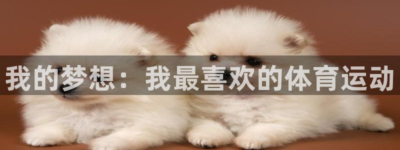 3377体育官方正版app代理