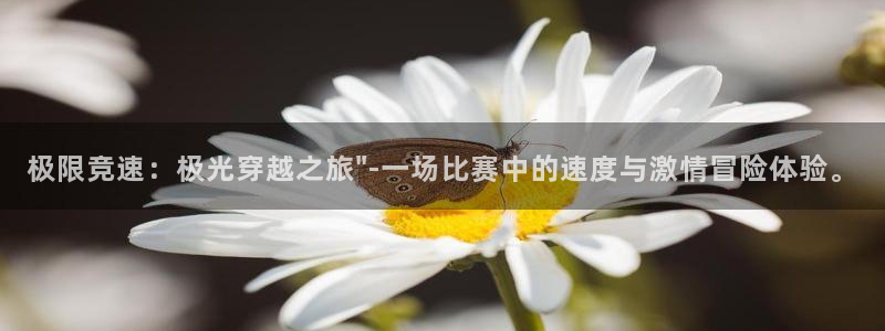 3377体育官网下载平台注册：极限竞速：极光穿越之旅