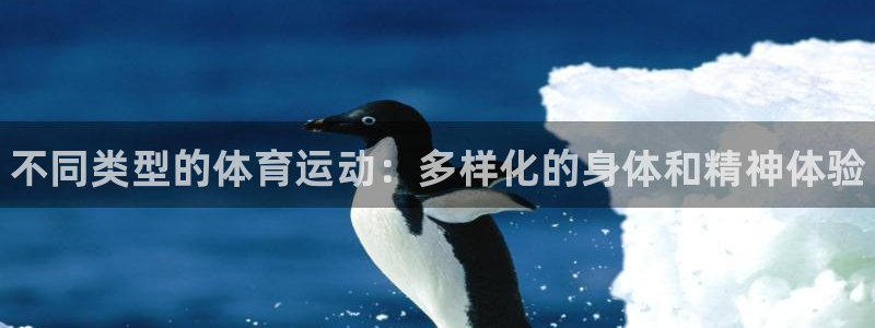 3377体育官方正版app娱乐平台：不同类型的体育运