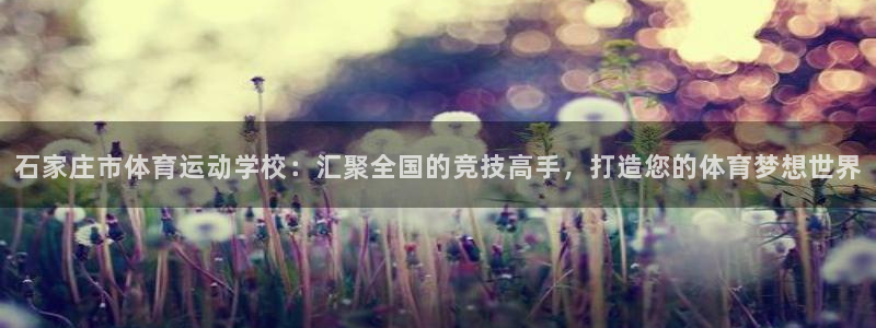 3377体育官方正版app娱乐首页网站大全：石家庄市体育运动