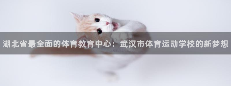 3377体育官网下载招商电话是多少号码：湖北省最全面的体育教