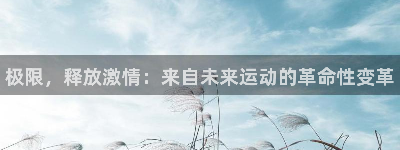 海南3377体育官网下载：极限，释放激情：来自未来运动的革命