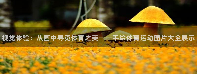 3377体育官网下载招商电话地址：视觉体验：从画中寻觅体育之