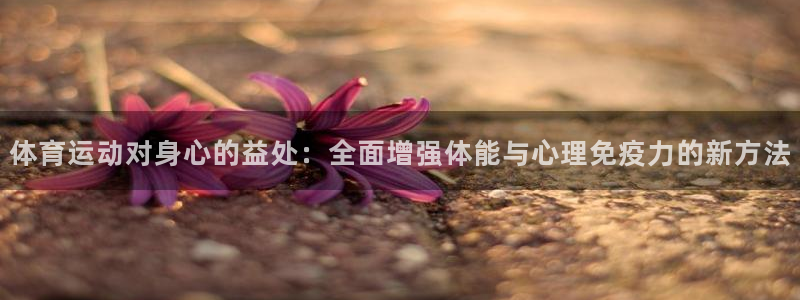 3377体育官方正版app娱乐