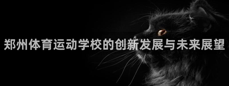 3377体育官方正版app官网：郑州体育运动学校的创新发展与