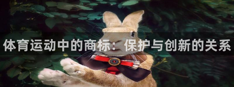 3377体育官方正版app娱乐40996：体育运动中的商标：