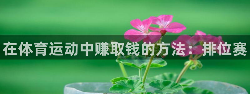 3377体育官网下载招商电话是多少