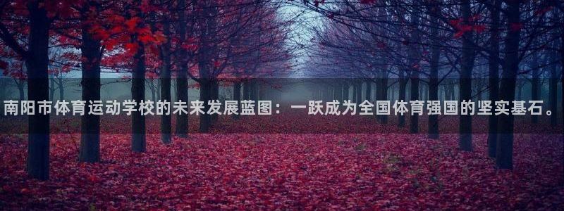 3377体育官网下载招商电话号码：南阳市体育运动学校的未来发