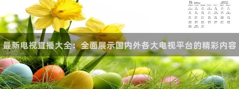 蓝鲸的视频：最新电视直播大全：全面展示国内外各大电视平台的精彩内容