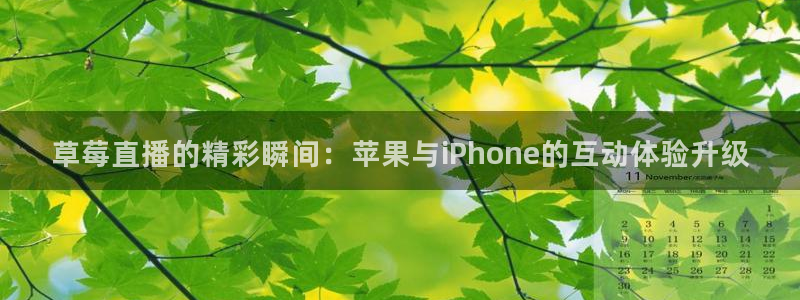 蓝鲸直播体育appv3.新地址.org：草莓直播的精彩瞬间：苹果与iPhone的互动体验升级