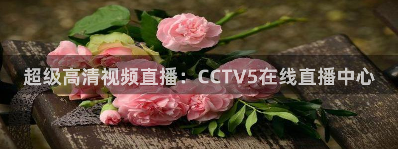 蓝鲸直播改名叫什么了：超级高清视频直播：CCTV5在线直播中心
