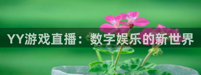 蓝鲸直播平台免费观看：YY游戏直播：数字娱乐的新世界