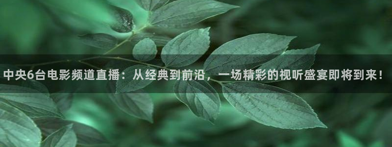 蓝鲸体育nba：中央6台电影频道直播：从经典到前沿，一场精彩的视听盛宴即将到来！