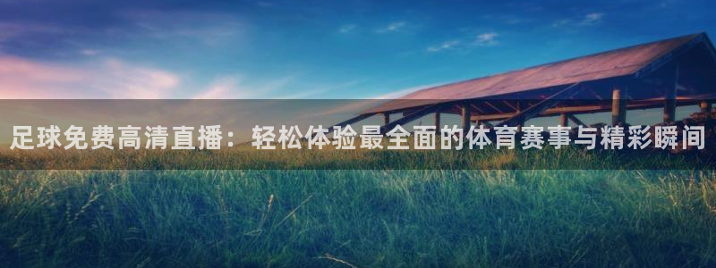 蓝鲸体育直播在线观看网球：足球免费高清直播：轻松体验最全面的体育赛事与精彩瞬间