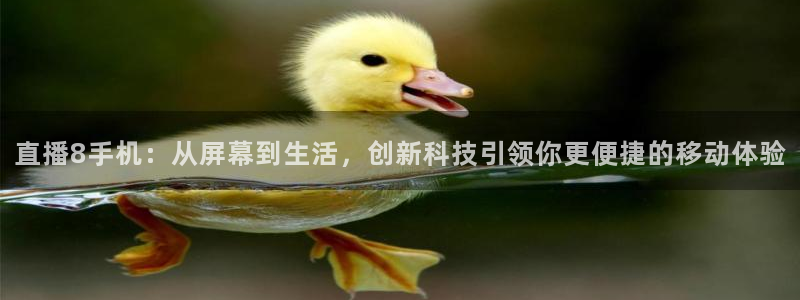 蓝鲸直播现在叫什么：直播8手机：从屏幕到生活，创新科技引领你更便捷的移动体验