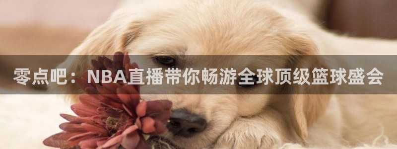 蓝鲸直播ios：零点吧：NBA直播带你畅游全球顶级篮球盛会