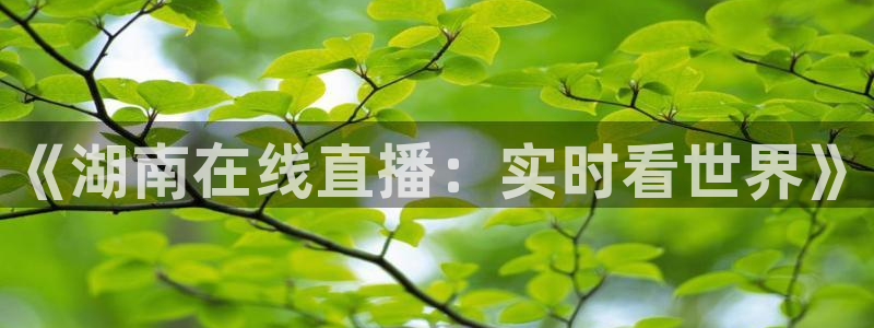 蓝鲸视频实拍：《湖南在线直播：实时看世界》