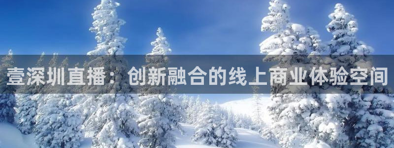 蓝鲸直播安卓：壹深圳直播：创新融合的线上商业体验空间