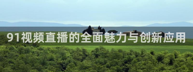 丁伟杰蓝鲸体育直播间：91视频直播的全面魅力与创新应用
