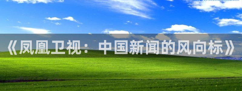蓝鲸直播平台